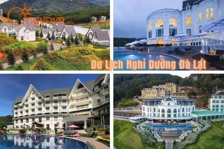 Khám Phá 10 Resort Đà Lạt Hàng Đầu Cho Kỳ Nghỉ Dưỡng