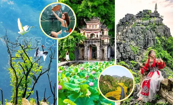 Cẩm Nang Du Lịch Ninh Bình 2 Ngày 1 Đêm: Lịch Trình Vàng Và Bí Kíp Khám Phá Trọn Vẹn
