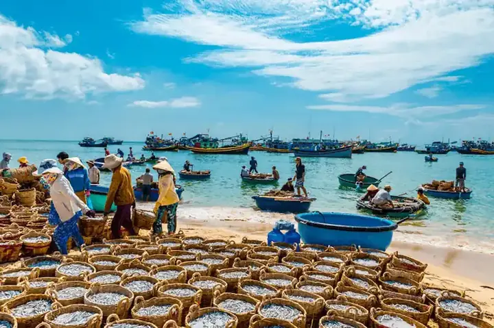 Khám Phá Du Lịch Phan Thiết: Điểm Đến, Ăn Gì, Hoạt Động