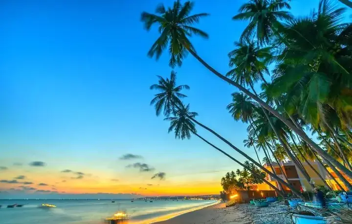 Du Lịch Phan Thiết Tự Túc: Hướng Dẫn Chi Tiết 2026 Du Lịch Phan Thiết Tự Túc: Hướng Dẫn Chi Tiết 2026