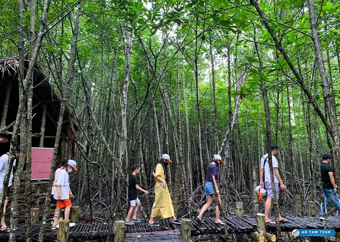 Cẩm Nang Rừng Sác Cần Giờ: Khám Phá Khu Dự Trữ Sinh Quyển Thế Giới