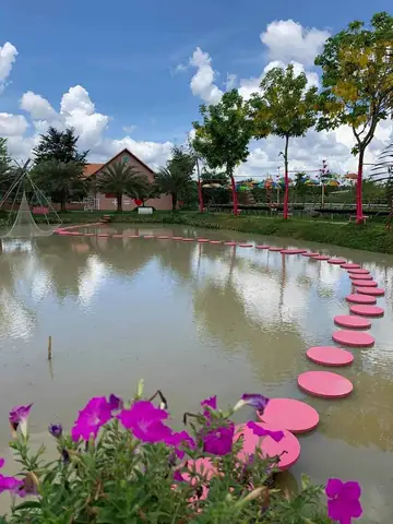 Cánh Đồng Hoa Hồng Sa Đéc: Điểm Hẹn Của Những Sắc Màu Trong Làn Gió Miền Tây