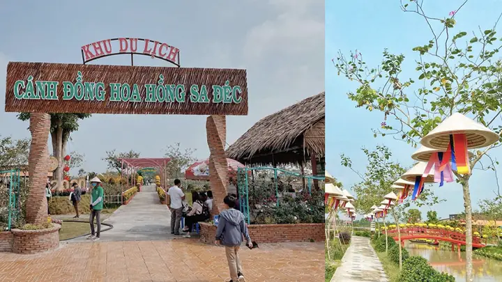 Cánh Đồng Hoa Hồng Sa Đéc: Điểm Hẹn Của Những Sắc Màu Trong Làn Gió Miền Tây