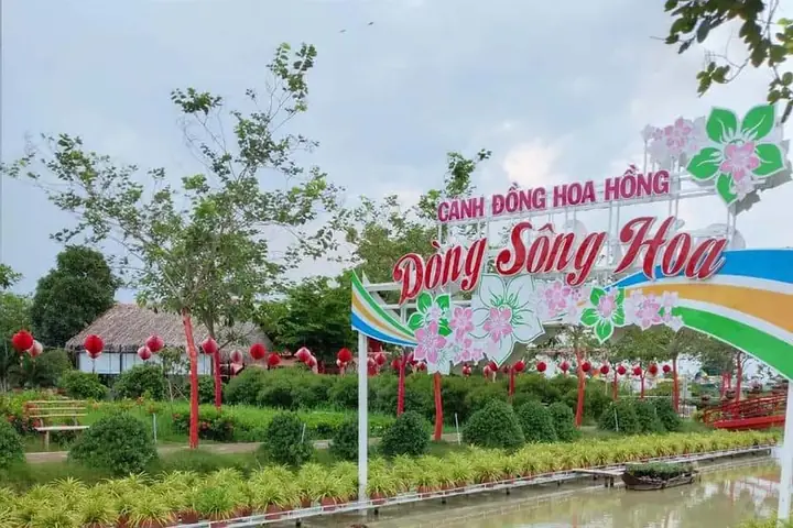 Cánh Đồng Hoa Hồng Sa Đéc: Điểm Hẹn Của Những Sắc Màu Trong Làn Gió Miền Tây