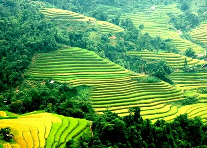 Cẩm Nang Du Lịch Sapa Toàn Diện: Hành Trình Khám Phá Bản Cát Cát & Đỉnh Fansipan