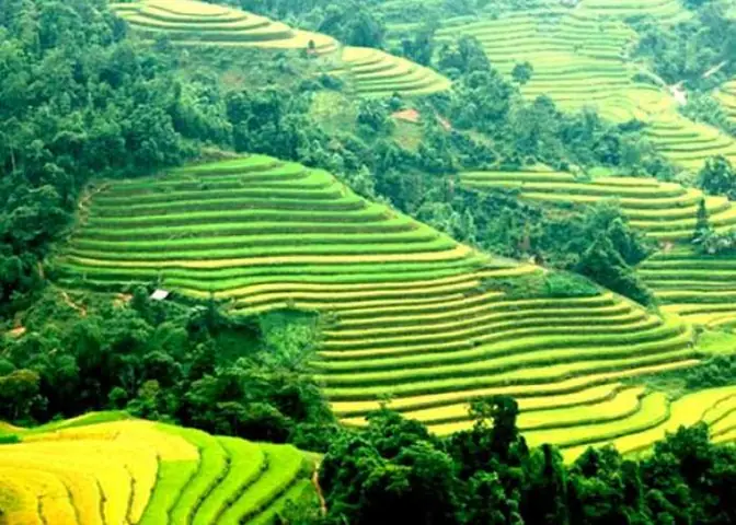 Cẩm Nang Du Lịch Sapa Toàn Diện: Hành Trình Khám Phá Bản Cát Cát & Đỉnh Fansipan
