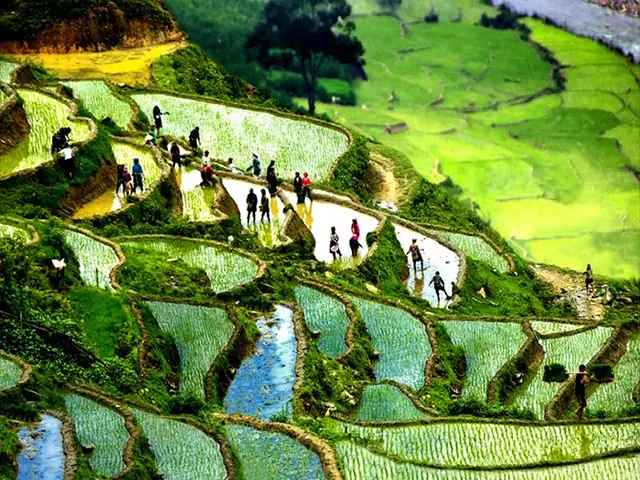 Du Lịch Sapa Bằng Máy Bay: Đánh Giá Chi Tiết Và So Sánh Về Trải Nghiệm Di Chuyển