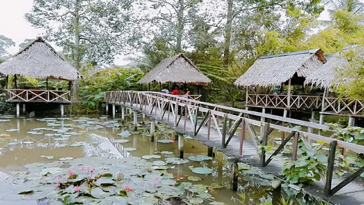 Khám Phá 10 Khu Du Lịch Sinh Thái Cần Thơ Cho Chuyến Đi Xanh