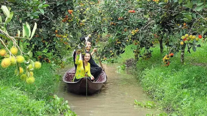 Khám Phá 10 Khu Du Lịch Sinh Thái Cần Thơ Cho Chuyến Đi Xanh