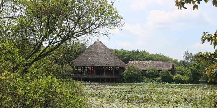Top 10 Khu Du Lịch Sinh Thái Củ Chi Hấp Dẫn