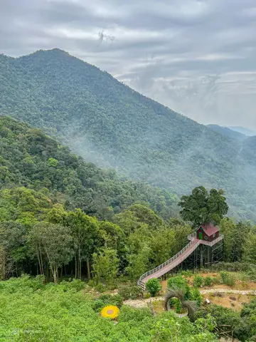 Kinh Nghiệm Du Lịch Tam Đảo 2026: Điểm Đến, Di Chuyển, Ăn Chơi