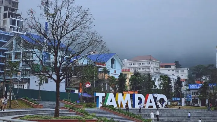 Kinh Nghiệm Du Lịch Tam Đảo 2026: Điểm Đến, Di Chuyển, Ăn Chơi