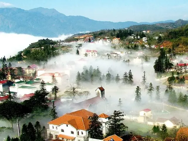 Kinh Nghiệm Du Lịch Tam Đảo 2026: Điểm Đến, Di Chuyển, Ăn Chơi