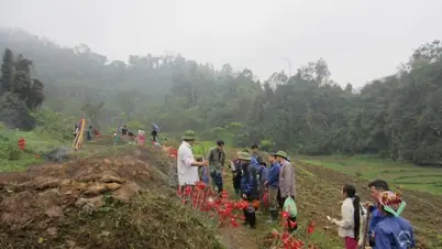 Cẩm Nang Khám Phá Thành Phố Cao Lãnh: Hành Trình 1 Ngày Đầy Cảm Xúc Cẩm Nang Khám Phá Thành Phố Cao Lãnh: Hành Trình 1 Ngày Đầy Cảm Xúc