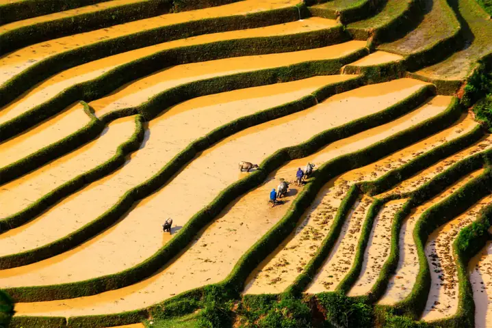 Cẩm Nang Du Lịch Tú Lệ Yên Bái Toàn Tập: Khám Phá Nàng Thơ Vùng Cao Tây Bắc Cẩm Nang Du Lịch Tú Lệ Yên Bái Toàn Tập: Khám Phá Nàng Thơ Vùng Cao Tây Bắc