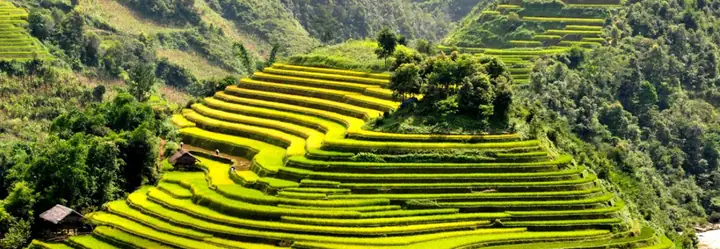 Cẩm Nang Du Lịch Tú Lệ Yên Bái Toàn Tập: Khám Phá Nàng Thơ Vùng Cao Tây Bắc Cẩm Nang Du Lịch Tú Lệ Yên Bái Toàn Tập: Khám Phá Nàng Thơ Vùng Cao Tây Bắc