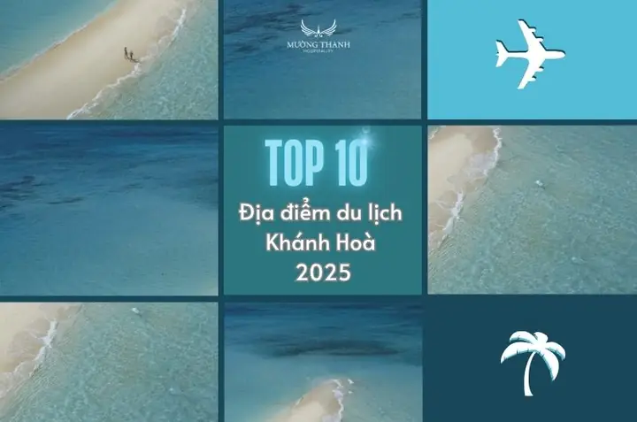 Du Lịch Tuần Châu 1 Ngày: Lịch Trình Tự Túc Hoàn Hảo Và Mẹo Tiết Kiệm 2026