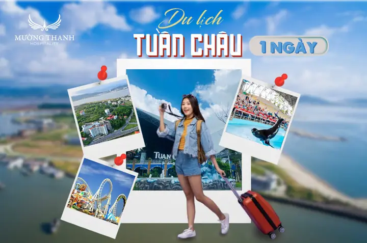 Du Lịch Tuần Châu 1 Ngày: Lịch Trình Tự Túc Hoàn Hảo Và Mẹo Tiết Kiệm 2026