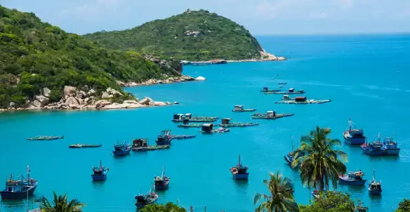 Du Lịch Vĩnh Hy 2 Ngày 1 Đêm: Lịch Trình Và Mẹo Cho Chuyến Đi Hoàn Hảo Du Lịch Vĩnh Hy 2 Ngày 1 Đêm: Lịch Trình Và Mẹo Cho Chuyến Đi Hoàn Hảo