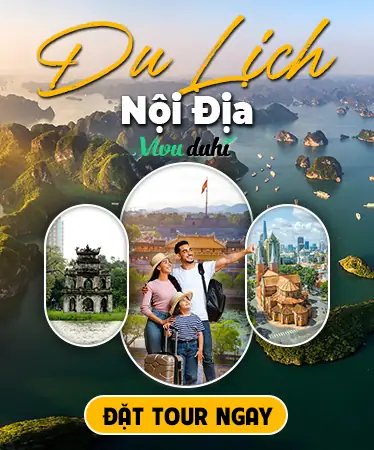 Cẩm Nang Du Lịch Vườn Nho Ninh Thuận Toàn Tập