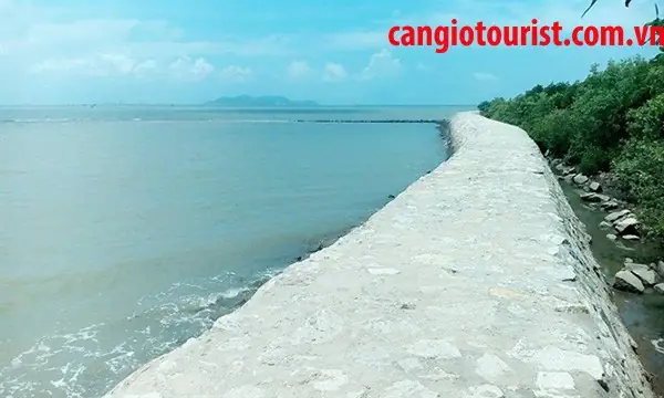 Du Lịch Đảo Thạnh An Cần Giờ: Cẩm Nang Khám Phá Từ A-z