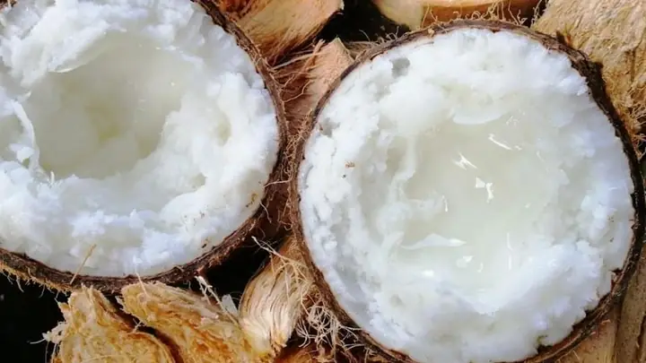 Dừa Sáp Bao Nhiêu 1 Trái? Giá, Trọng Lượng Và Cách Tính Chi Phí