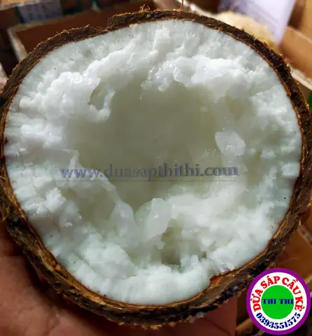 Dừa Sáp Để Được Bao Lâu? Bí Quyết Bảo Quản Khi Du Lịch