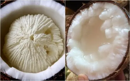 Dừa Sáp Để Được Bao Lâu? Bí Quyết Bảo Quản Khi Du Lịch