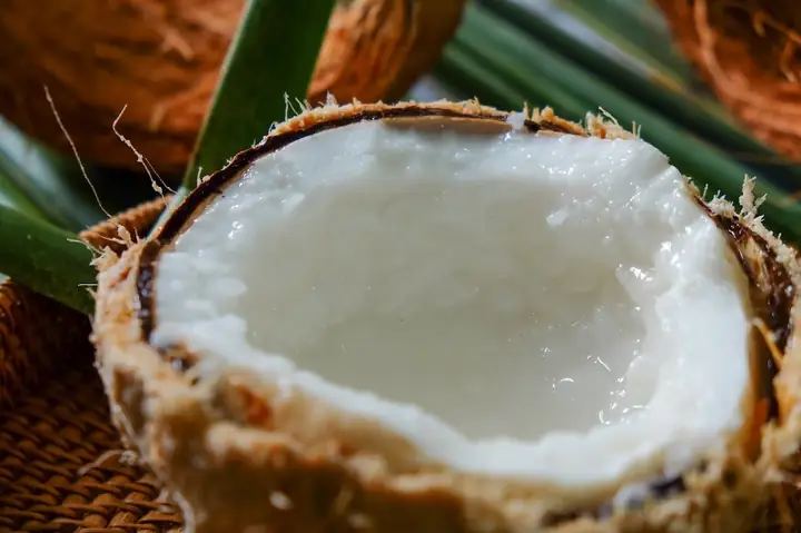 Dừa Sáp Để Được Bao Lâu? Bí Quyết Bảo Quản Khi Du Lịch