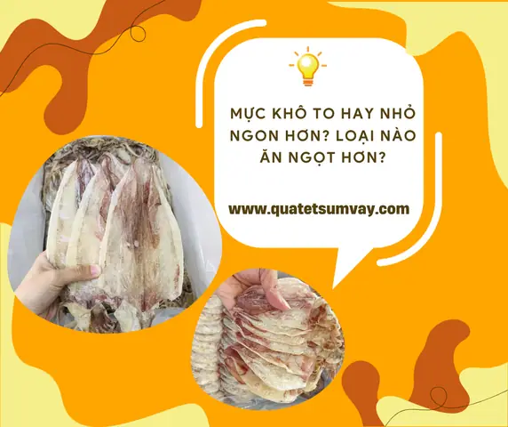 Cẩm Nang Làng Hoa Sa Đéc: Hướng Dẫn Đường Đi, Thời Điểm Và Điểm Tham Quan Chi Tiết