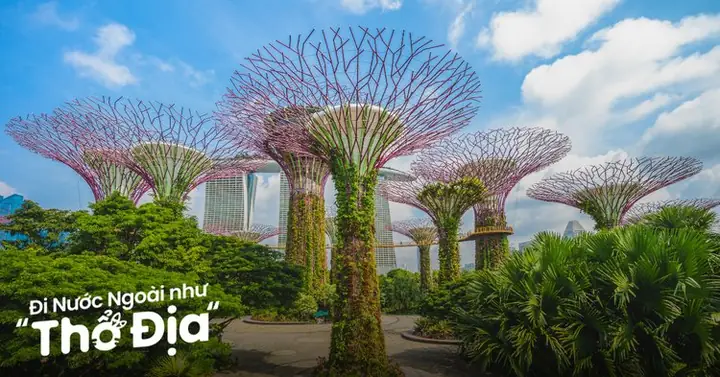 Gardens By The Bay Singapore: Cẩm Nang Du Lịch Toàn Diện
