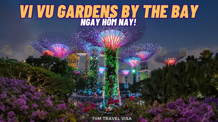 Gardens By The Bay Singapore: Cẩm Nang Du Lịch Toàn Diện