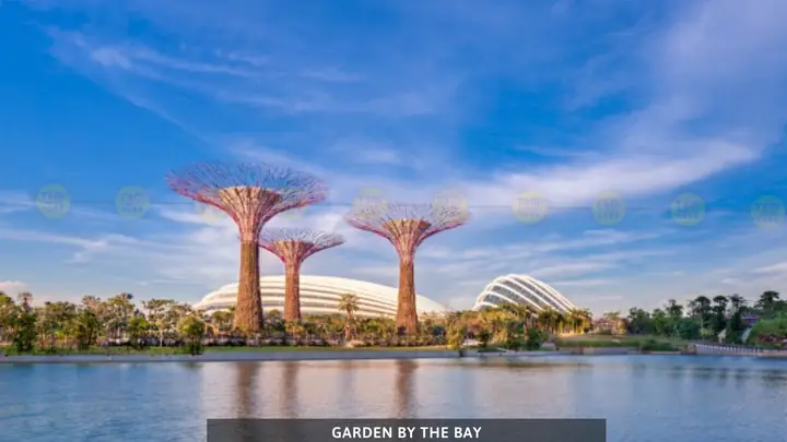 Gardens By The Bay Singapore: Cẩm Nang Du Lịch Toàn Diện