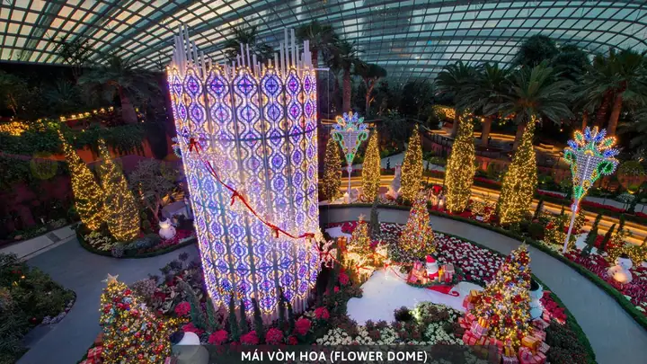 Gardens By The Bay Singapore: Cẩm Nang Du Lịch Toàn Diện