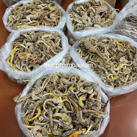 Giá Cá Ngựa Khô: Cập Nhật & Yếu Tố Ảnh Hưởng