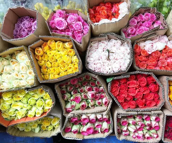 Giá Hoa Chợ Hồ Thị Kỷ: Cập Nhật Mức Giá, Xu Hướng Và Mẹo Mua Thông Minh