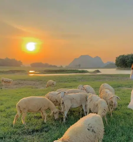 Khám Phá Xã Gia Hưng: Lịch Sử, Địa Lý Và Hành Chính