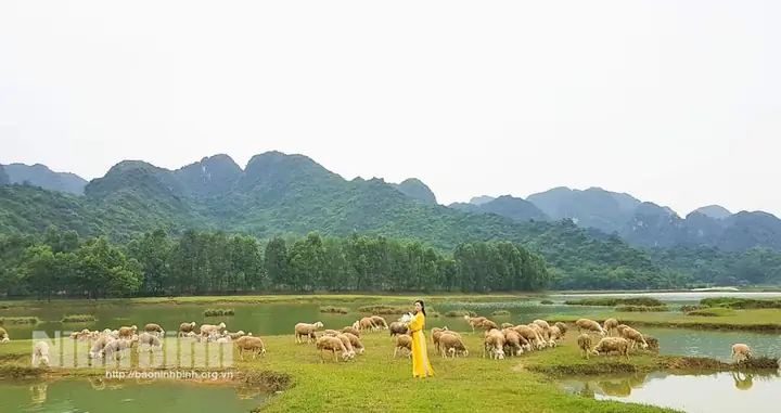 Khám Phá Xã Gia Hưng: Lịch Sử, Địa Lý Và Hành Chính
