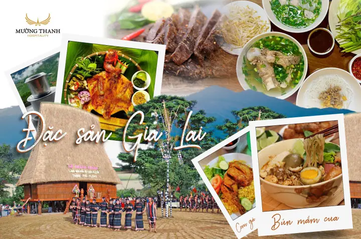 Khám Phá 15 Đặc Sản Gia Lai Ngon Nhất Dành Cho Du Khách