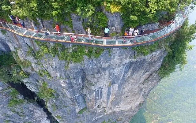So Sánh Giá Vé Cầu Kính Sa Pa 2026 Cho Người Lớn Và Trẻ Em So Sánh Giá Vé Cầu Kính Sa Pa 2026 Cho Người Lớn Và Trẻ Em