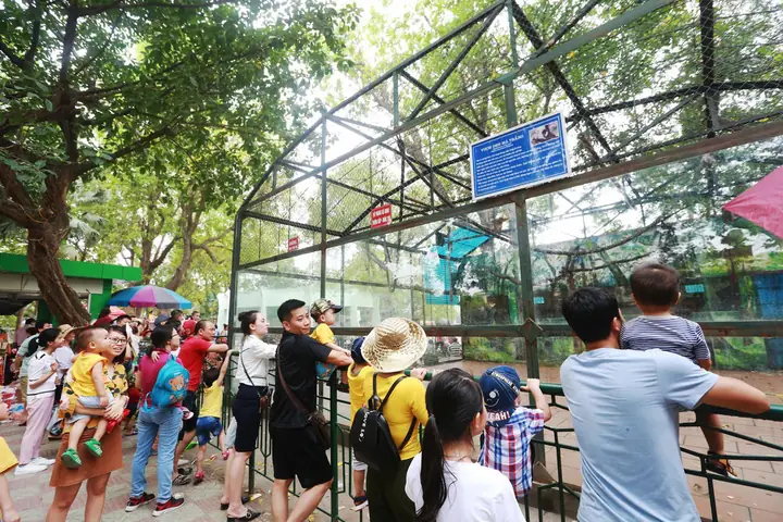 Giá Vé Công Viên Thủ Lệ 2025: Cập Nhật Chi Tiết & Mẹo Tiết Kiệm