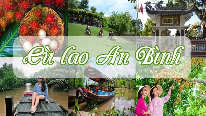 Giá Vé Cù Lao An Bình: Đánh Giá Chi Tiết Từng Điểm Tham Quan Năm 2026
