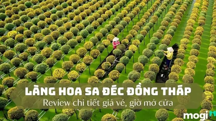 Giá Vé Vào Cổng Làng Hoa Sa Đéc – Hướng Dẫn Mua & Ưu Đãi