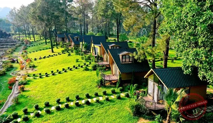 Đánh Giá Chi Tiết Rừng Thông Bản Áng Mộc Châu: Trải Nghiệm Đáng Nhớ