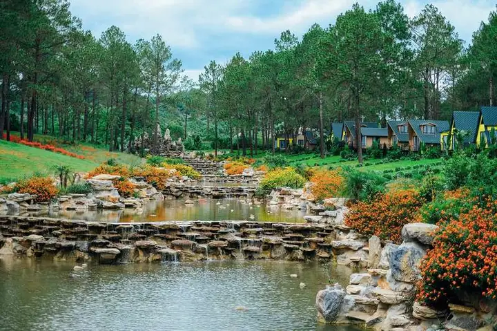 Đánh Giá Chi Tiết Rừng Thông Bản Áng Mộc Châu: Trải Nghiệm Đáng Nhớ