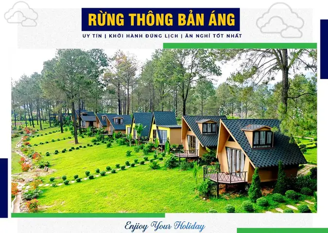 Đánh Giá Chi Tiết Rừng Thông Bản Áng Mộc Châu: Trải Nghiệm Đáng Nhớ