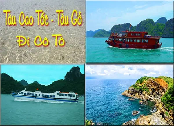 Giá Vé Tàu Đi Cô Tô 2026: So Sánh Chi Tiết Tàu Cao Tốc & Tàu Gỗ Giá Vé Tàu Đi Cô Tô 2026: So Sánh Chi Tiết Tàu Cao Tốc & Tàu Gỗ