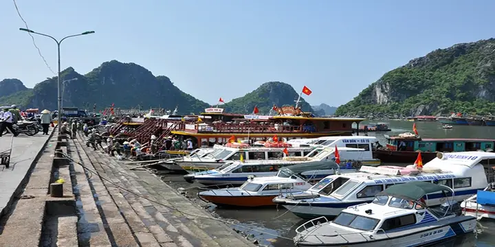 Giá Vé Tàu Đi Cô Tô 2026: So Sánh Chi Tiết Tàu Cao Tốc & Tàu Gỗ Giá Vé Tàu Đi Cô Tô 2026: So Sánh Chi Tiết Tàu Cao Tốc & Tàu Gỗ