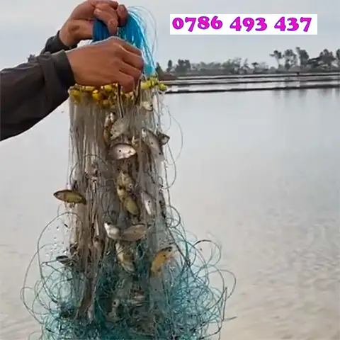Hướng Dẫn Giăng Lưới Bắt Cá Hiệu Quả Cho Người Mới Ở Miền Tây