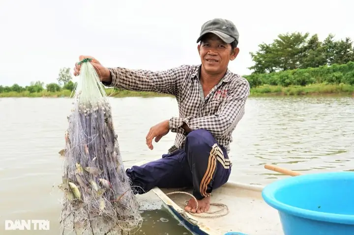 Hướng Dẫn Giăng Lưới Bắt Cá Hiệu Quả Cho Người Mới Ở Miền Tây